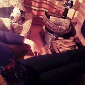  thumbnail petsitter Hradec Králové or pet nanny for dogs cats 