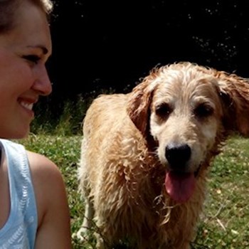  thumbnail petsitter Hradec Králové or pet nanny for dogs cats 