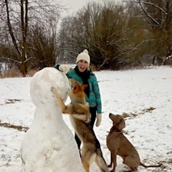  thumbnail petsitter Hradec Králové or pet nanny for dogs cats 