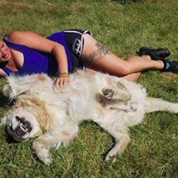  thumbnail petsitter Hradec Králové or pet nanny for dogs cats 