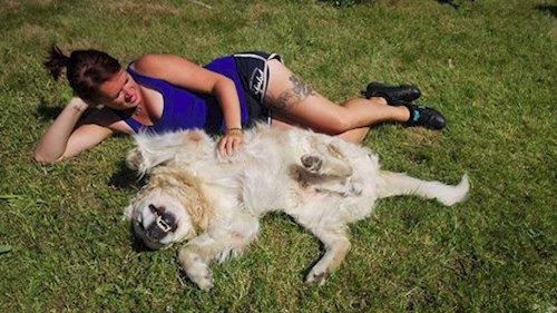 Martina- petsitter Hradec Králové nebo Páníček pro psi kočky