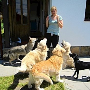  thumbnail petsitter Hradec Králové or pet nanny for dogs cats 