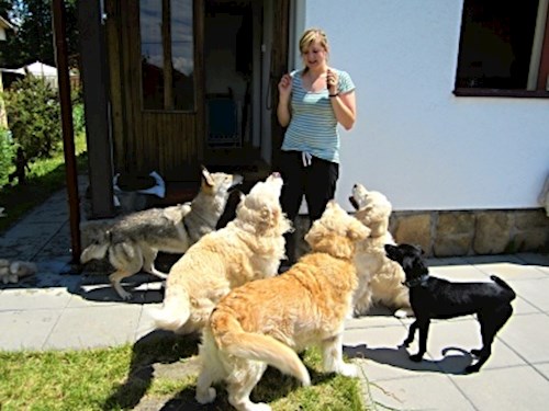 Martina- petsitter Hradec Králové nebo Páníček pro psi kočky