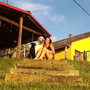 thumbnail petsitter Hradec Králové nebo páníček pro psi kočky