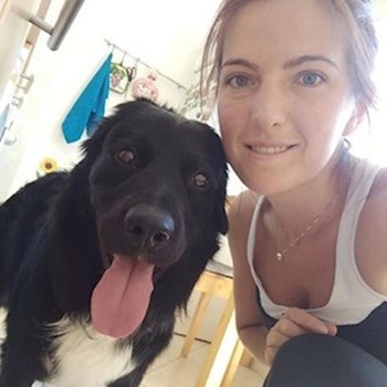  thumbnail petsitter praha or pet nanny for dogs 
