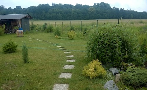 Adéla- petsitter Hradec Králové nebo Páníček pro psi kočky