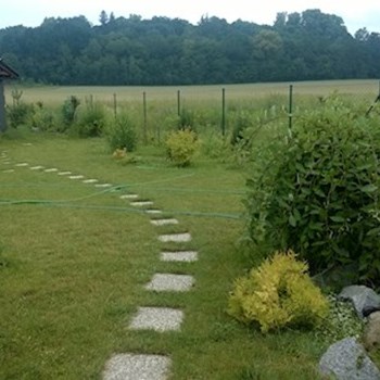 thumbnail petsitter Hradec Králové nebo páníček pro psi kočky