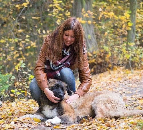 Bára- petsitter Průhonice nebo Páníček pro psi kočky