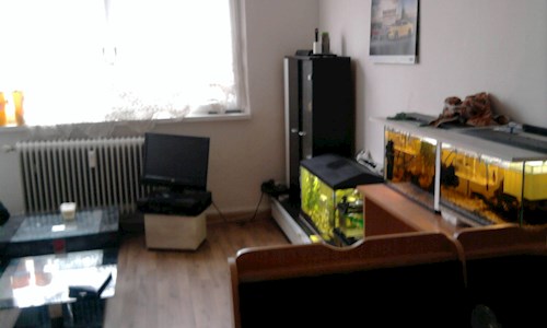 Lucie- petsitter Karviná or Pet nanny for dogs cats