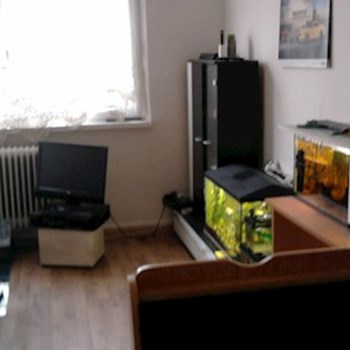 thumbnail petsitter Karviná or pet nanny for dogs cats