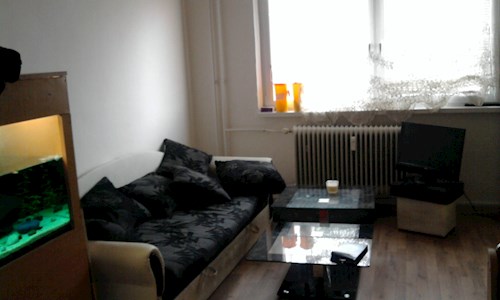 Lucie- petsitter Karviná or Pet nanny for dogs cats