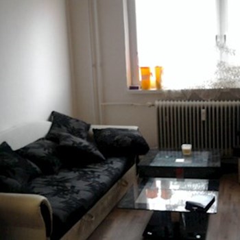 thumbnail petsitter Karviná or pet nanny for dogs cats