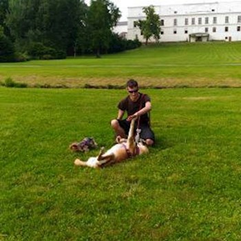 thumbnail petsitter Karviná or pet nanny for dogs cats