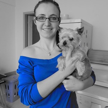 thumbnail petsitter Brno nebo páníček pro psi