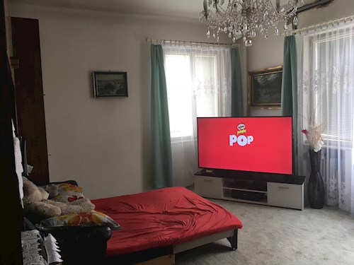 Andrea- petsitter Brno nebo Páníček pro psi