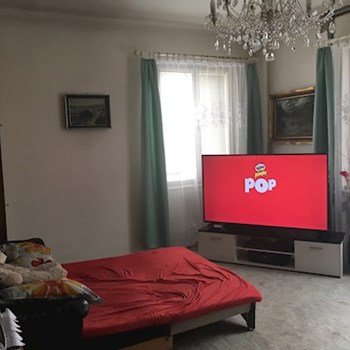 thumbnail petsitter Brno nebo páníček pro psi