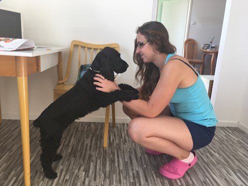 Andrea- petsitter Brno nebo Páníček pro psi