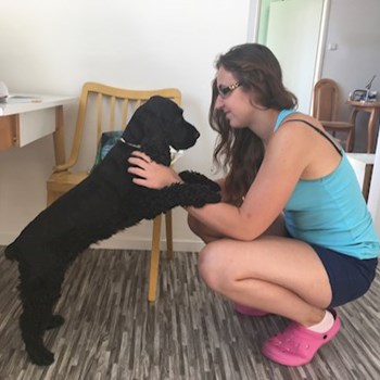 thumbnail petsitter Brno nebo páníček pro psi