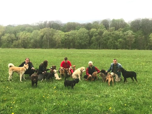 Veronika- petsitter Ostrava nebo Páníček pro psi kočky