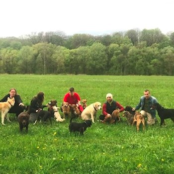 thumbnail petsitter Ostrava nebo páníček pro psi kočky