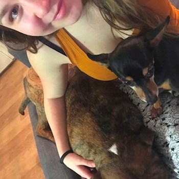  thumbnail petsitter Ostrava or pet nanny for dogs cats 