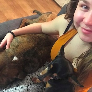 thumbnail petsitter Ostrava nebo páníček pro psi kočky