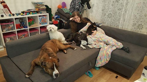 Veronika- petsitter Ostrava or Pet nanny for dogs cats 