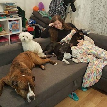  thumbnail petsitter Ostrava or pet nanny for dogs cats 