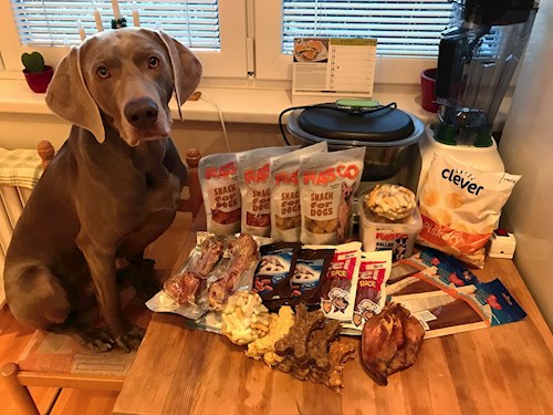 Veronika- petsitter Ostrava nebo Páníček pro psi kočky