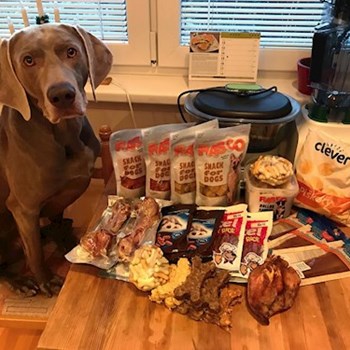 thumbnail petsitter Ostrava nebo páníček pro psi kočky