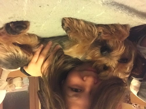 Veronika- petsitter Ostrava nebo Páníček pro psi kočky