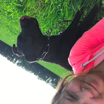  thumbnail petsitter Ostrava or pet nanny for dogs cats 