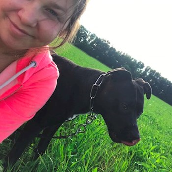 thumbnail petsitter Ostrava nebo páníček pro psi kočky