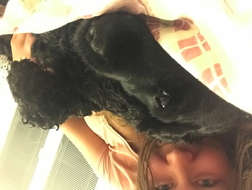 Veronika- petsitter Ostrava nebo Páníček pro psi kočky