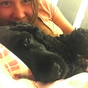 thumbnail petsitter Ostrava nebo páníček pro psi kočky