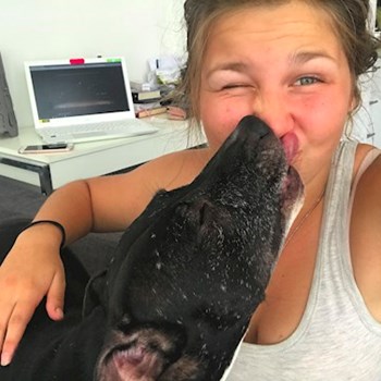  thumbnail petsitter Ostrava or pet nanny for dogs cats 
