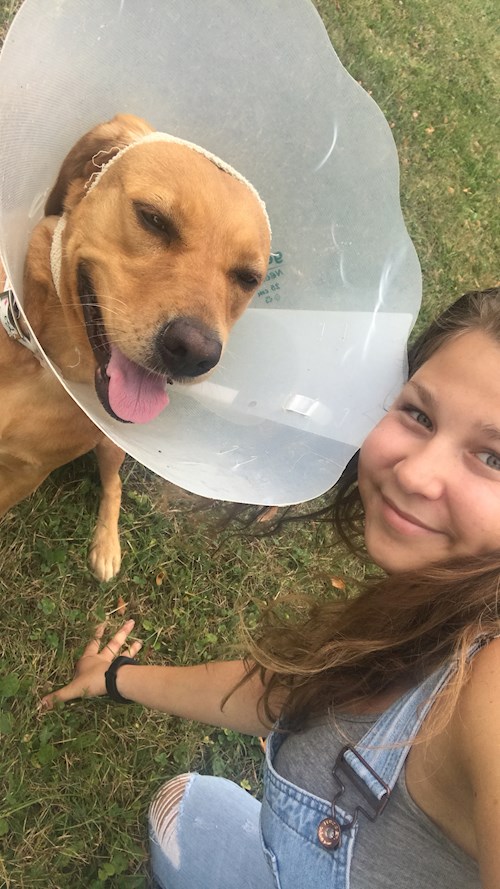 Veronika- petsitter Ostrava nebo Páníček pro psi kočky