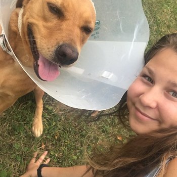 thumbnail petsitter Ostrava nebo páníček pro psi kočky