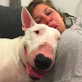 thumbnail petsitter Ostrava nebo páníček pro psi kočky