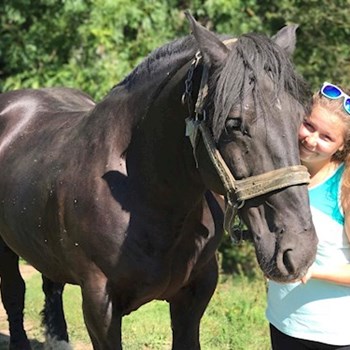 thumbnail petsitter Ostrava nebo páníček pro psi kočky