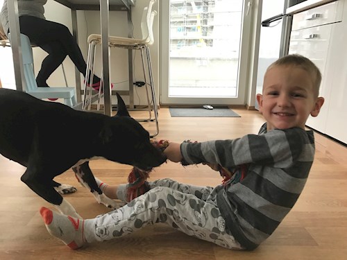 Veronika- petsitter Ostrava nebo Páníček pro psi kočky