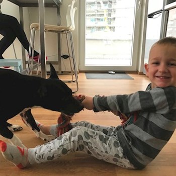 thumbnail petsitter Ostrava nebo páníček pro psi kočky