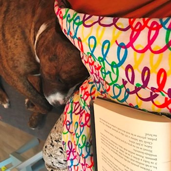  thumbnail petsitter Ostrava or pet nanny for dogs cats 