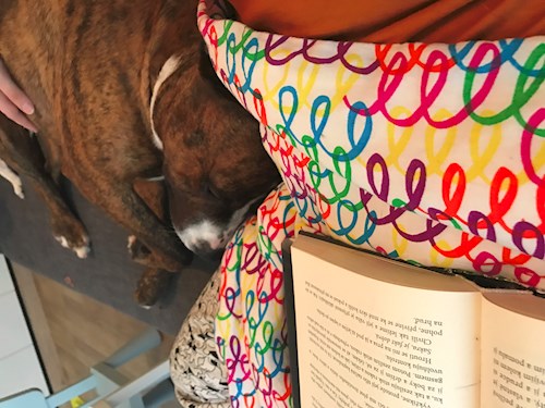 Veronika- petsitter Ostrava nebo Páníček pro psi kočky