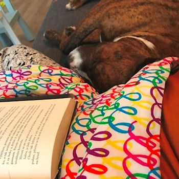 thumbnail petsitter Ostrava nebo páníček pro psi kočky