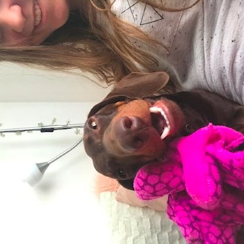  thumbnail petsitter Ostrava or pet nanny for dogs cats 