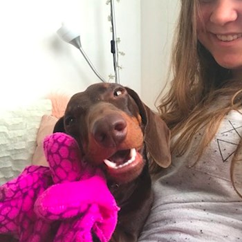 thumbnail petsitter Ostrava nebo páníček pro psi kočky