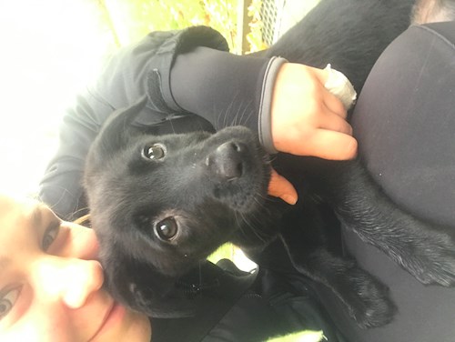 Veronika- petsitter Ostrava nebo Páníček pro psi kočky