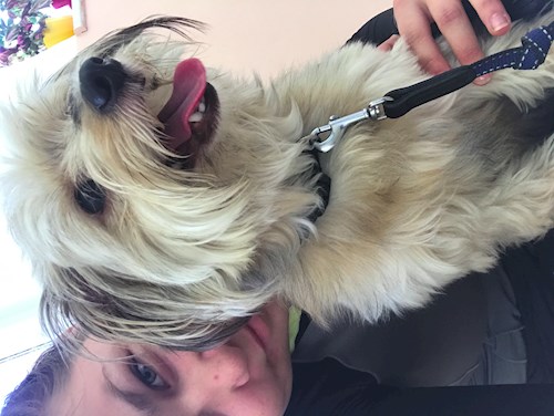 Veronika- petsitter Ostrava nebo Páníček pro psi kočky