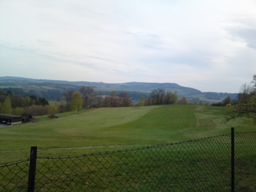 Monika- petsitter Držkov nebo Páníček pro psi kočky